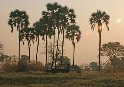 Game Drive